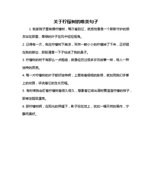 关于柠檬树的唯美句子
