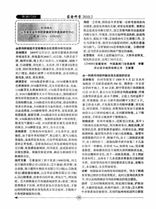 蛋鸡新城疫并发肠毒综合征原因分析与诊治