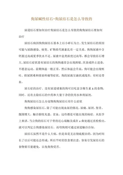 狗尿碱性结石-狗尿结石是怎么导致的