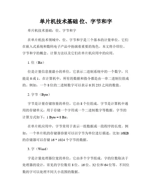 单片机技术基础 位、字节和字