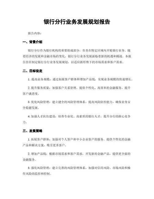 银行分行业务发展规划报告