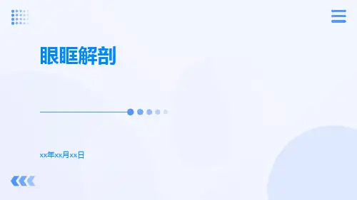 (医学课件)眼眶解剖