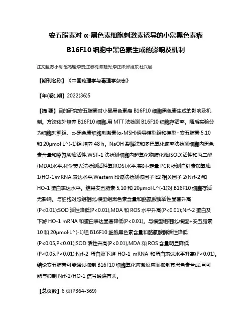 安五脂素对α-黑色素细胞刺激素诱导的小鼠黑色素瘤B16F10细胞中黑色素生成的影响及机制