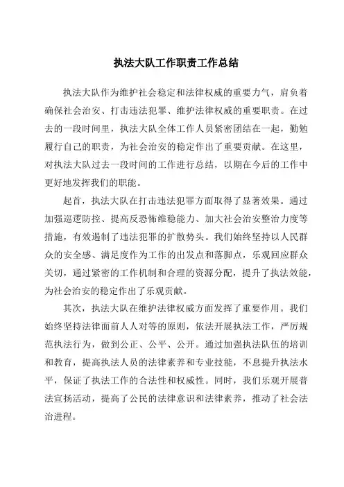 执法大队工作职责工作总结