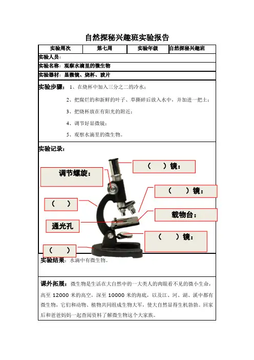 水滴里的微生物的实验报告