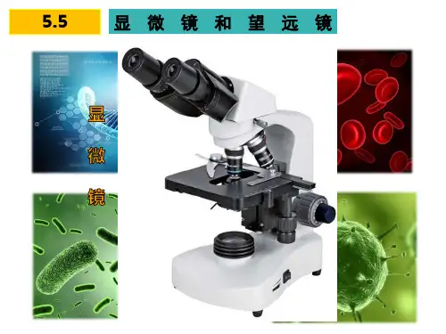 人教版物理八年级上册5.5显微镜和望远镜课件