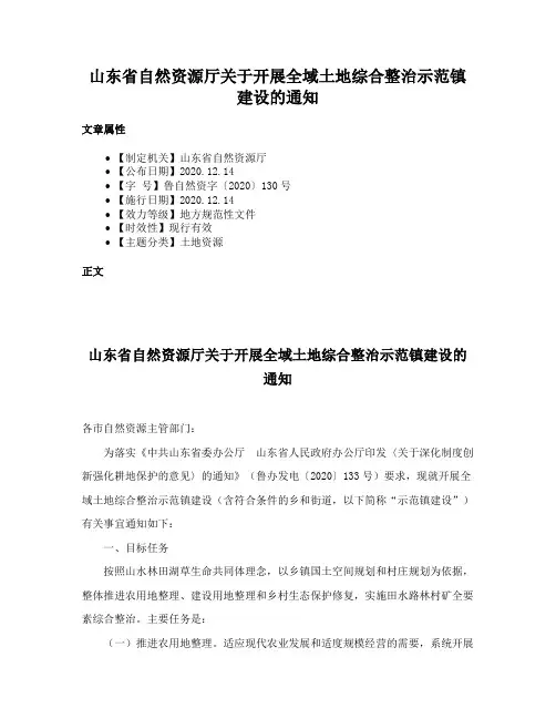 山东省自然资源厅关于开展全域土地综合整治示范镇建设的通知