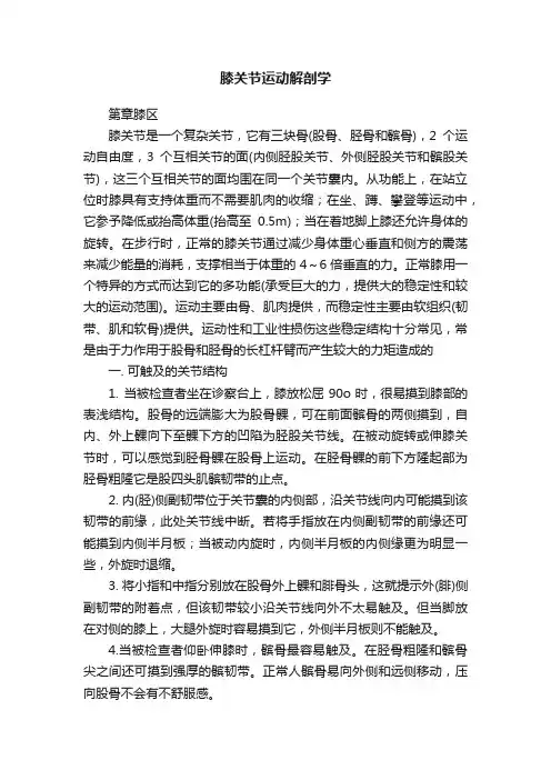 膝关节运动解剖学