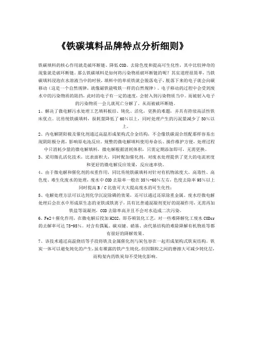 《铁碳填料品牌特点分析细则》