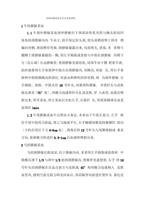 各动物采血方法
