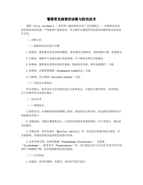 葡萄常见病害的诊断与防治技术