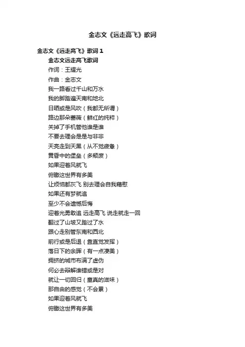 金志文《远走高飞》歌词2篇