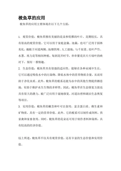 梭鱼草的应用