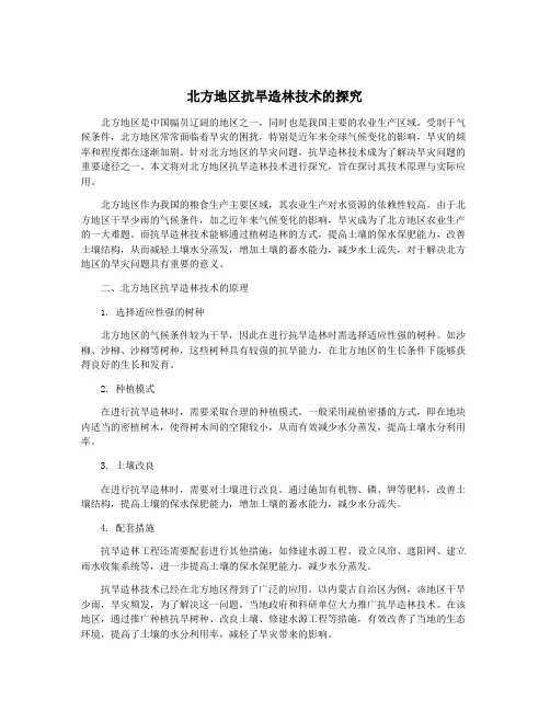 北方地区抗旱造林技术的探究