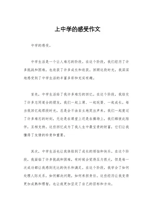 上中学的感受作文