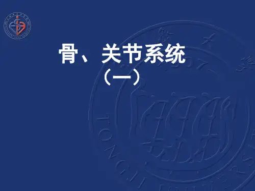 骨关节系统 PPT