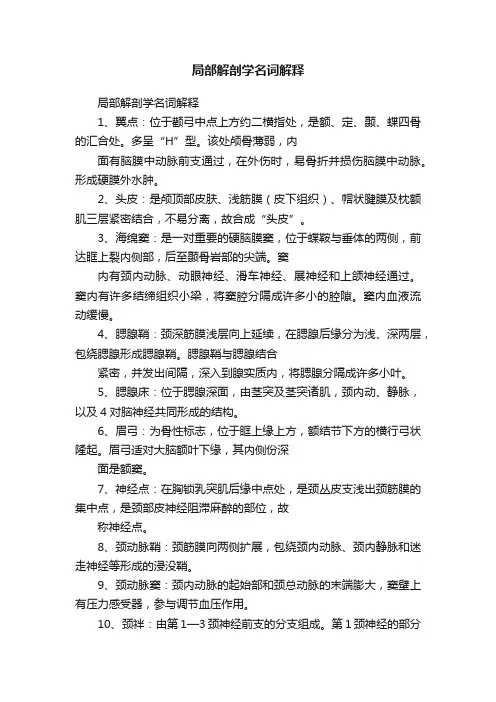 局部解剖学名词解释