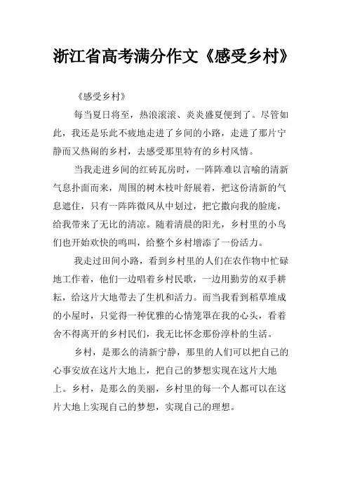 浙江省高考满分作文《感受乡村》