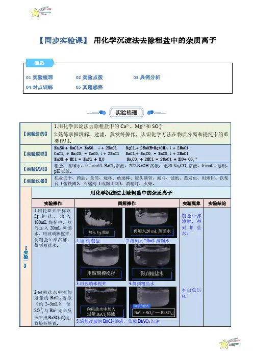 用化学沉淀法去除粗盐中的杂质离子(学生版) 2023-2024学年高一化学教材实验人教版必修第二册