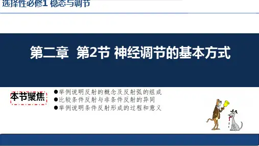 2.2 神经调节的基本方式(课件)高二生物上学期课件(2019人教版选择性必修1)