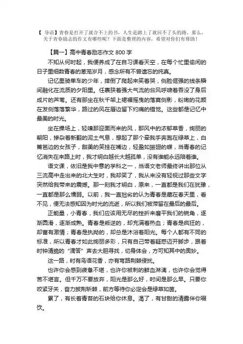 高中青春励志作文800字5篇
