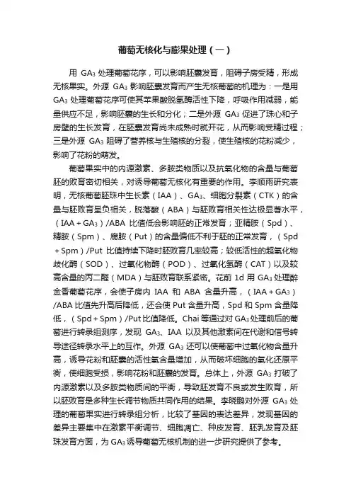 葡萄无核化与膨果处理（一）