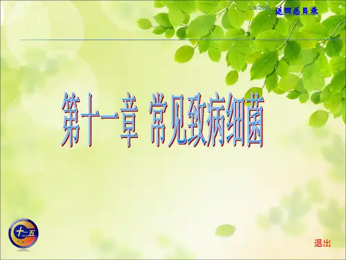 常见致病细菌ppt课件