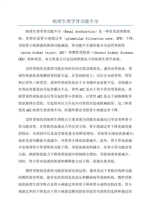 病理生理学肾功能不全