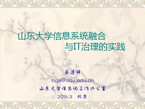 山东大学信息系统融合与IT治理的实践
