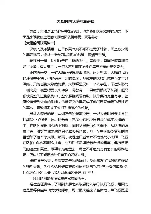 大雁的团队精神演讲稿