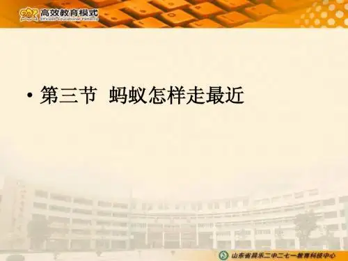 第3节 蚂蚁怎么走最近