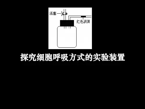 细胞呼吸方式的判断PPT课件