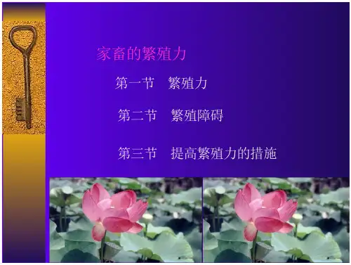 家畜繁殖学家畜的繁殖力 看