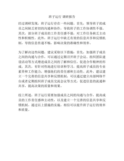 班子运行 调研报告