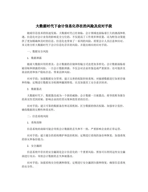 大数据时代下会计信息化存在的风险及应对手段