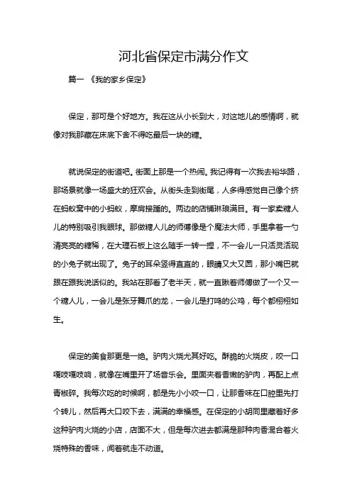 河北省保定市满分作文