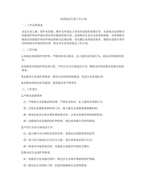 水政执法年度工作计划