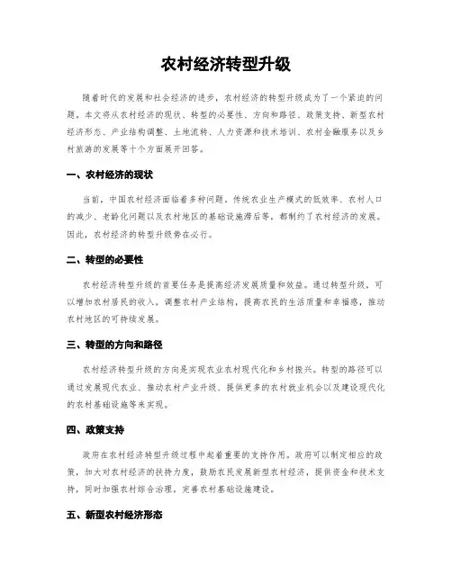 农村经济转型升级