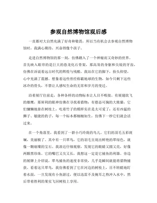 参观自然博物馆观后感