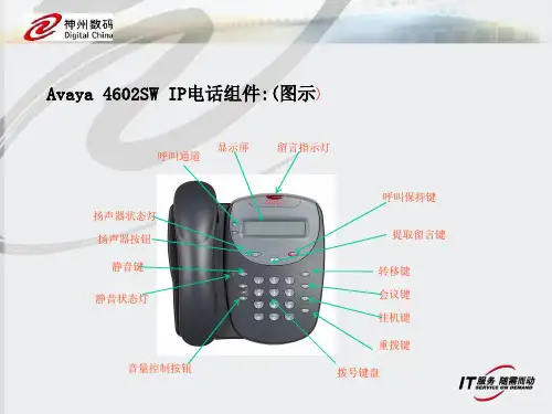 avaya简单使用说明