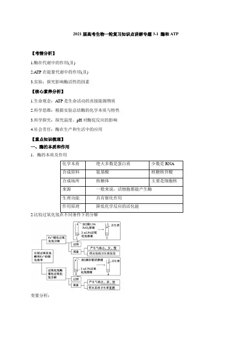 2021届高考生物一轮复习知识点讲解专题3-1 酶和ATP【含答案】