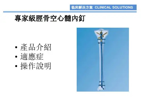 专家型胫骨髓内钉
