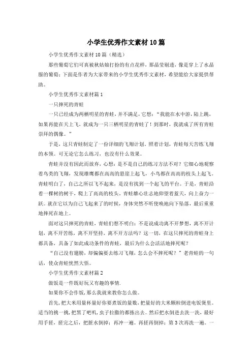 小学生优秀作文素材10篇