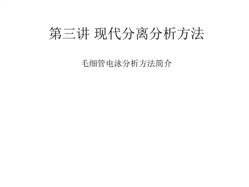 毛细管电泳分析
