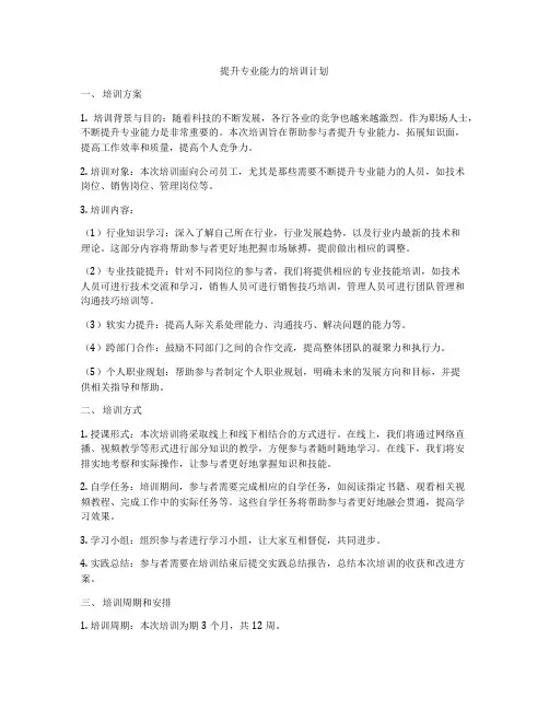提升专业能力的培训计划