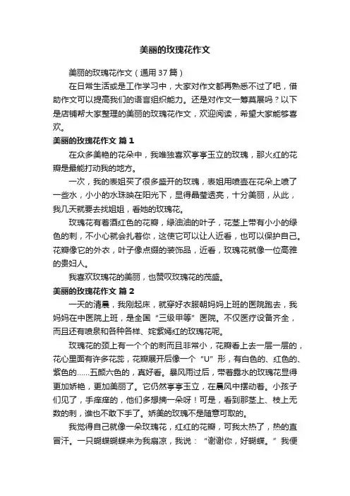 美丽的玫瑰花作文