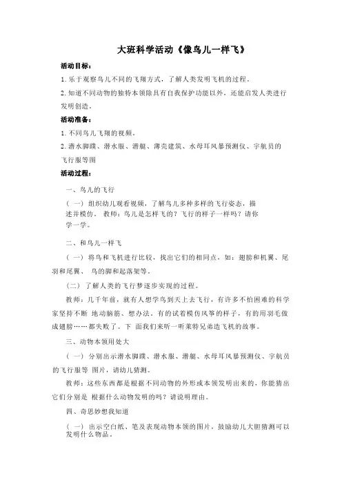 大班科学活动《像鸟儿一样飞》