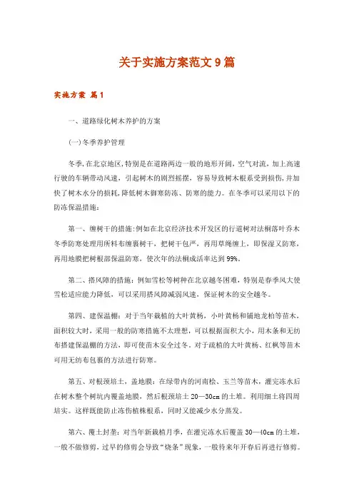 关于实施方案范文9篇