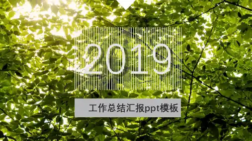 2019年工作总结汇报ppt模板