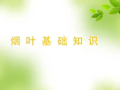烟叶基础知识